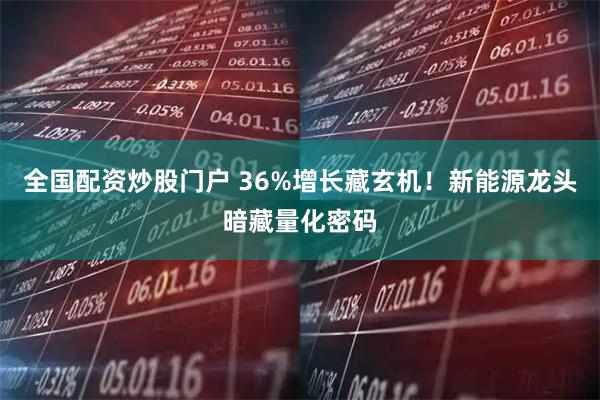 全国配资炒股门户 36%增长藏玄机！新能源龙头暗藏量化密码