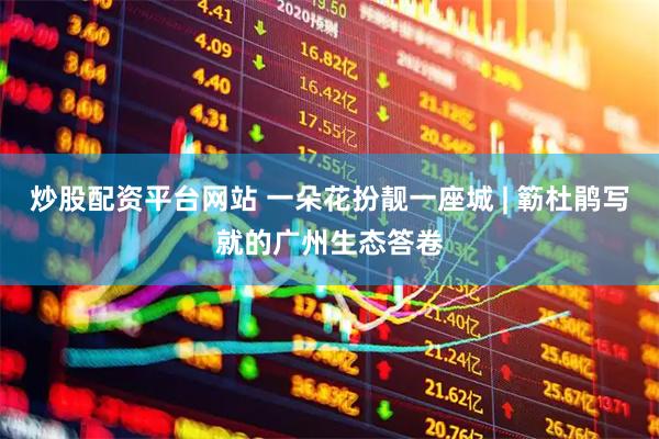 炒股配资平台网站 一朵花扮靓一座城 | 簕杜鹃写就的广州生态答卷