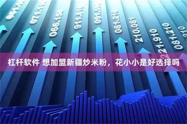 杠杆软件 想加盟新疆炒米粉，花小小是好选择吗