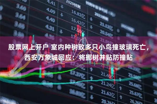 股票网上开户 室内种树致多只小鸟撞玻璃死亡，西安万象城回应：将挪树并贴防撞贴
