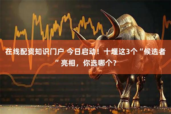 在线配资知识门户 今日启动！十堰这3个“候选者”亮相，你选哪个？